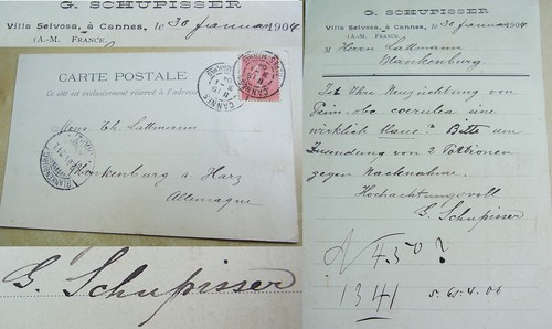 Cannes 1904 gärtner - dt.,